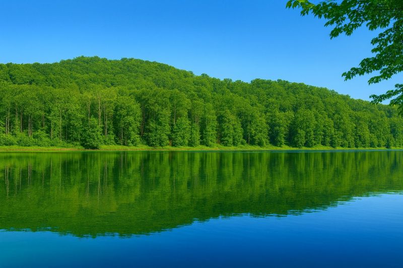 Best Bathroom Remodeling pros in North Wales, PA